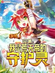 《完美：我是荒天帝的守护灵》小说封面