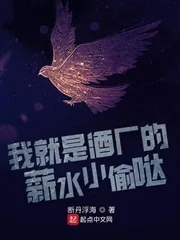 《我就是酒厂的薪水小偷哒》小说封面