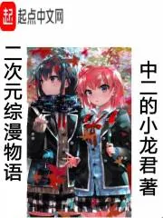 《二次元综漫物语》小说封面