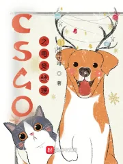 《CSGO之电竞经理》小说封面