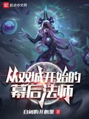 《从双城开始的幕后法师》小说封面