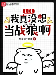 《LOL：我真没想当战狼啊》小说封面
