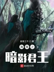 《海贼之暗影君王》小说封面