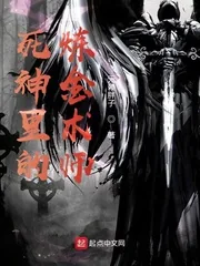 《死神里的炼金术师》小说封面