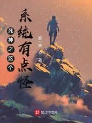 《死神之这个系统有点怪》小说封面