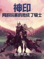 《神印：网游玩家的我成了骑士》小说封面