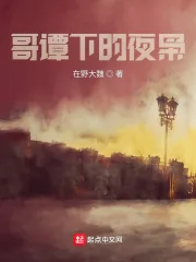 《哥谭下的夜枭》小说封面