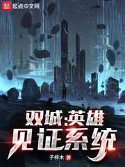 《双城：英雄见证系统》小说封面