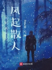 《全职高手之风起散人》小说封面