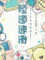 《短道速滑之冬奥传奇》小说封面