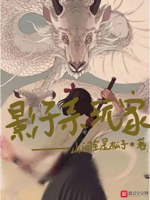 《影子系玩家》小说封面