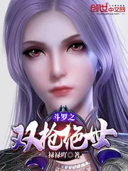 《斗罗之双枪绝世》小说封面
