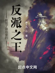 《我成了游戏里的反派之王》小说封面