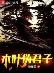 《木叶伪君子》小说封面