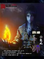 《网游之巅峰法师》小说封面