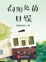 《向阳处的日娱》小说封面