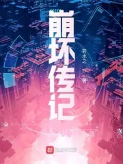 《崩坏传记》小说封面