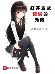 《打开方式错误的无限》小说封面