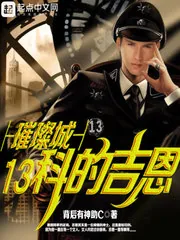 《璀璨城13科的吉恩》小说封面