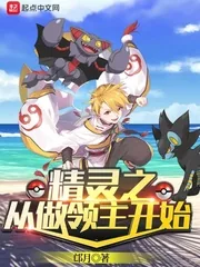 《精灵之从做领主开始》小说封面