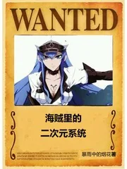 《海贼里的二次元系统》小说封面