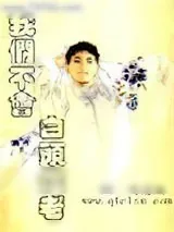 《我们不会白头偕老》小说封面