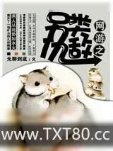 《网游之另类仇敌》小说封面