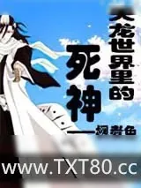 《天龙世界里的死神》小说封面