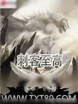 《刺客至高》小说封面