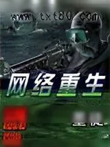 《网络重生》小说封面