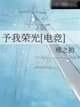 《予我荣光[电竞]》小说封面