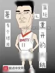 《篮坛之重开的大姚》小说封面