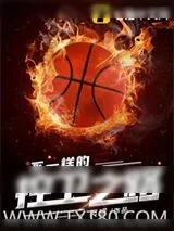 《不一样的控卫之路》小说封面