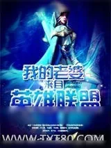 《我的老婆来自英雄联盟》小说封面