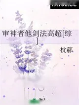 《审神者他剑法高超[综]》小说封面