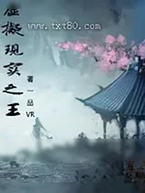 《虚拟现实之王》小说封面