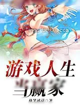 《游戏人生当赢家》小说封面