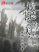 《埃尔德兰的天空》小说封面