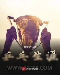 《乒乓生涯》小说封面