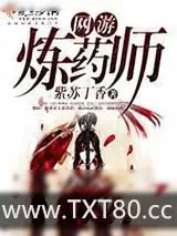 《网游炼药师》小说封面