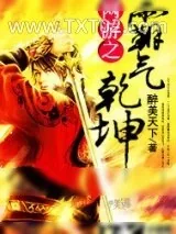 《乾坤》小说封面