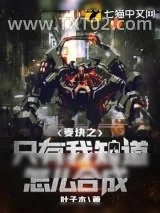 《我的世界》小说封面