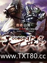 《天下英豪》小说封面