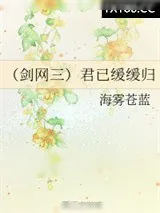 《（剑网三）君已缓缓归》小说封面
