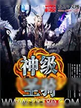 《神级圣骑》小说封面