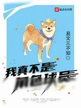 《混子》小说封面