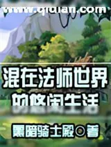 《混在法师世界》小说封面