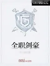 《全职剑豪》小说封面