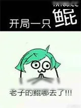 《开局一只鲲》小说封面
