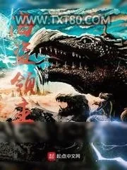 《海盗领主》小说封面